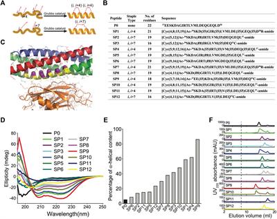 Screening of Hydrocarbon-Stapled Peptides for Inhibition of Calcium-Triggered Exocytosis